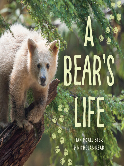 Title details for A Bear's Life by Ian McAllister - Available